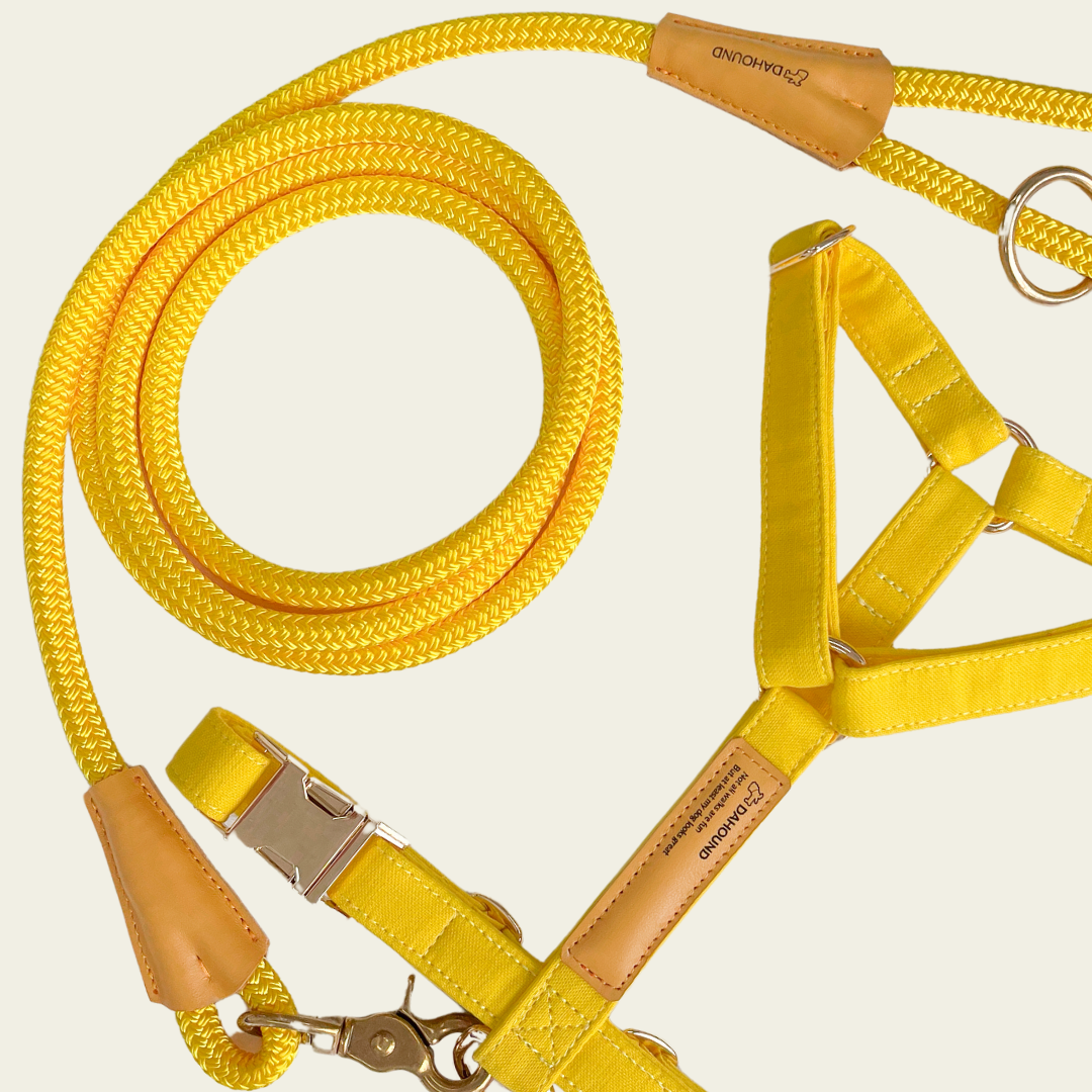 Signature Harness & Rope Lead Set | Candy Yellow
