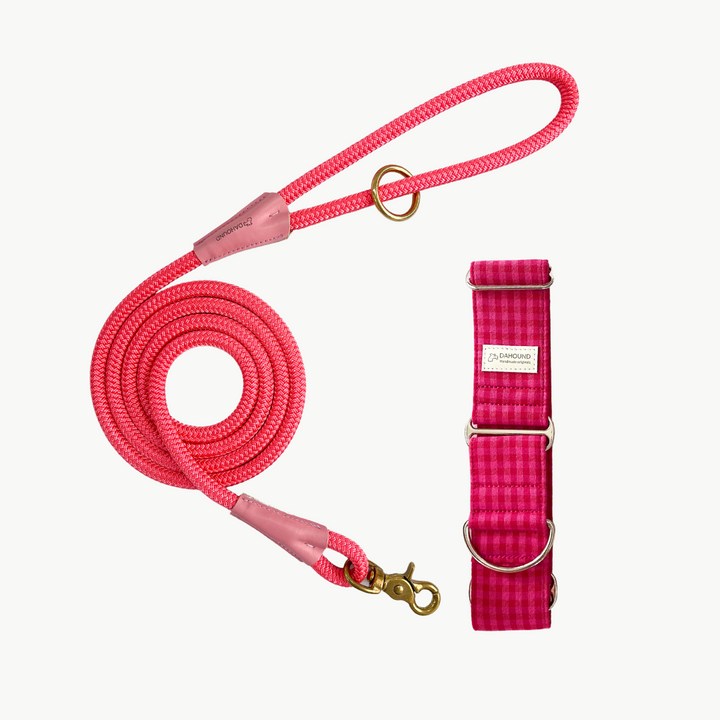 Dahound Crimson Pink Mini Gingham Martingale Collar & Pink Rope Leash Set Bundle