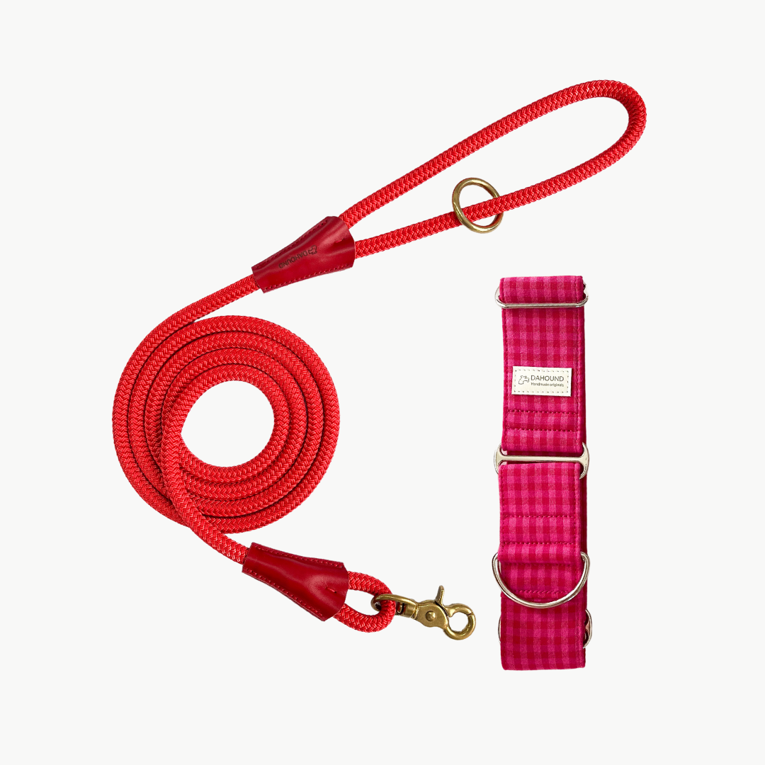 Dahound Crimson Pink Mini Gingham Martingale Collar & Pink Rope Leash Set Bundle