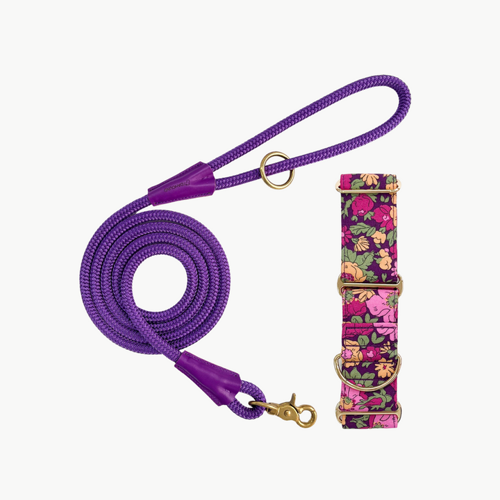 Martingale Collar & Rope Lead Set | Purple Floral