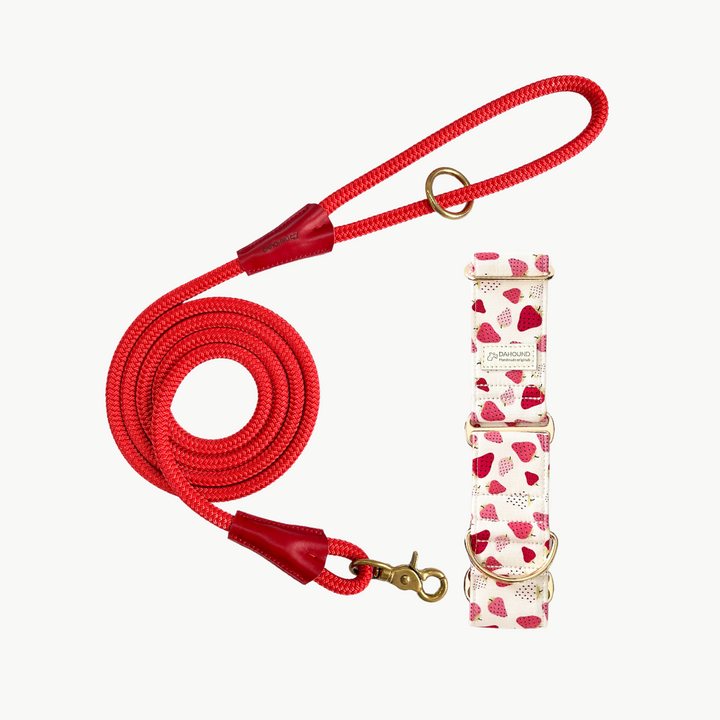 Dahound Strawberry & Cream Gelato Martingale Collar & Red Rope Leash Set Bundle