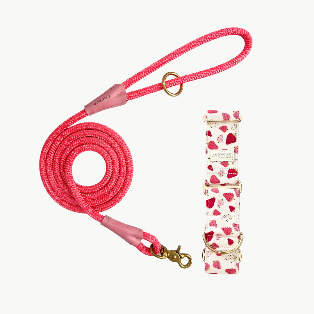 Dahound Strawberry & Cream Gelato Martingale Collar & Pink Rope Leash Set Bundle