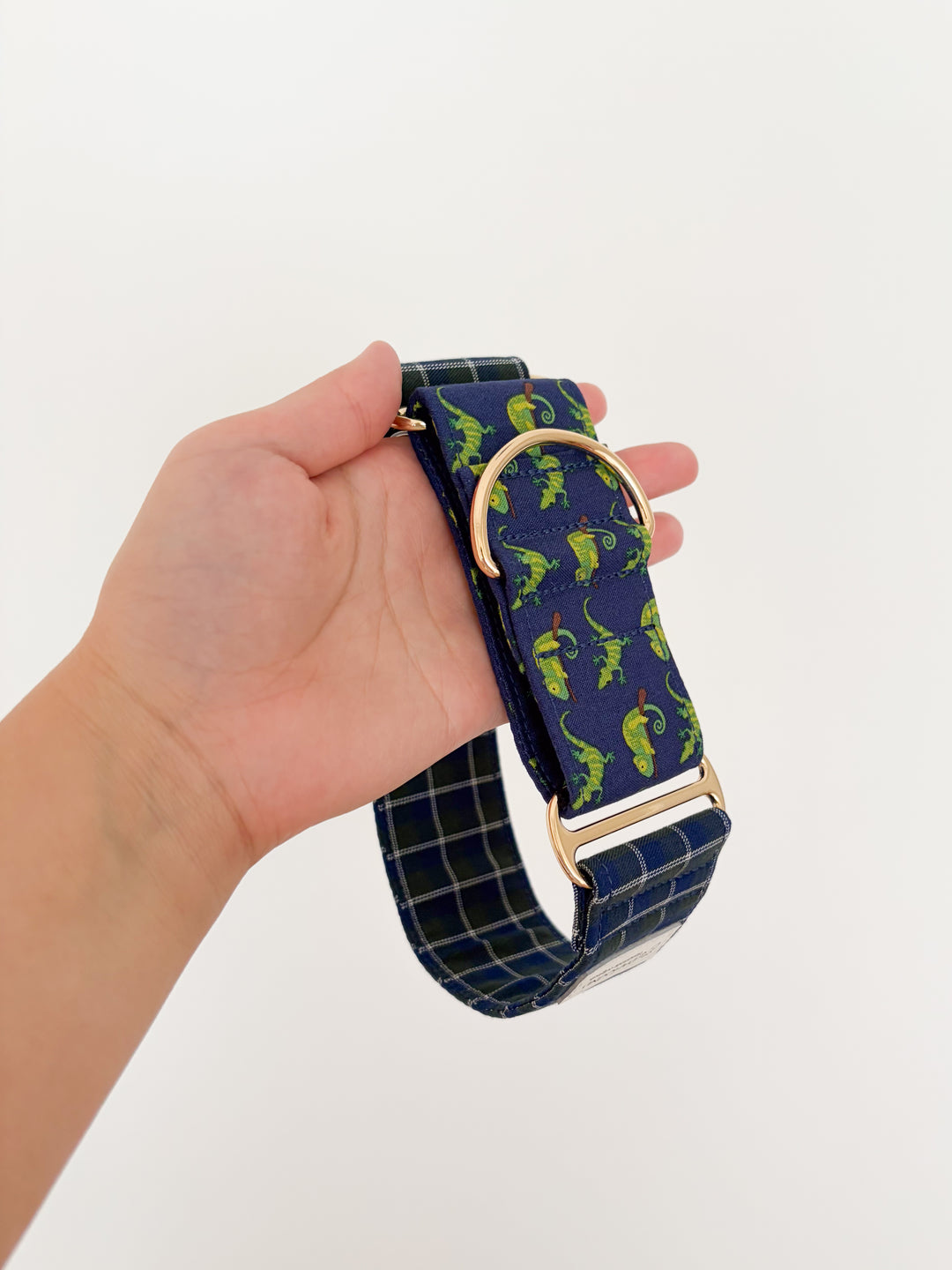 Wide Martingale Collar | Classy Reptiles (Limited Edition)