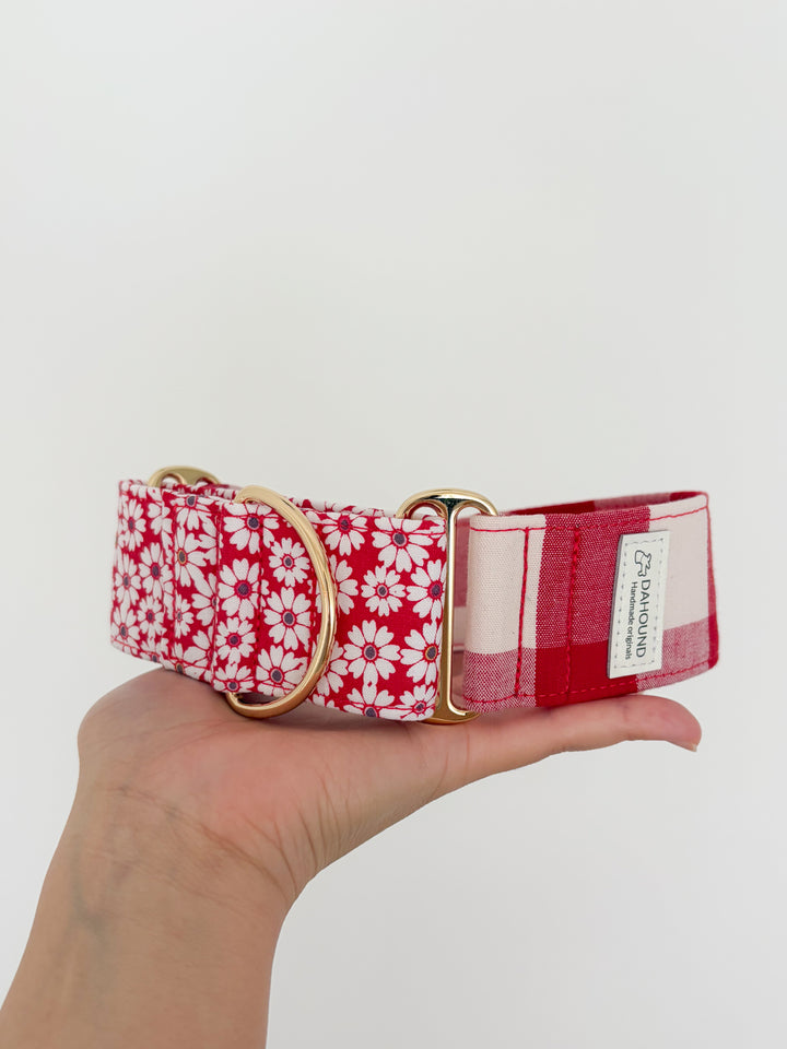 Wide Martingale Collar | Spring Plaid (Limited Edition)