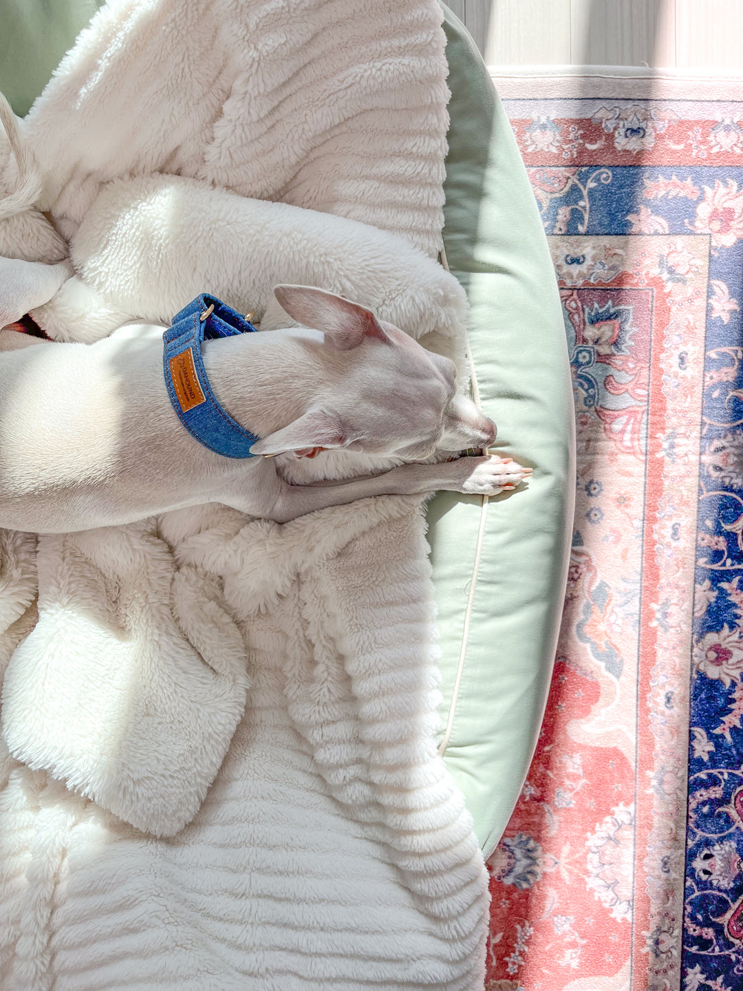 Martingale Collar & Rope Lead Set | Mid Blue Denim (with Black Leash)