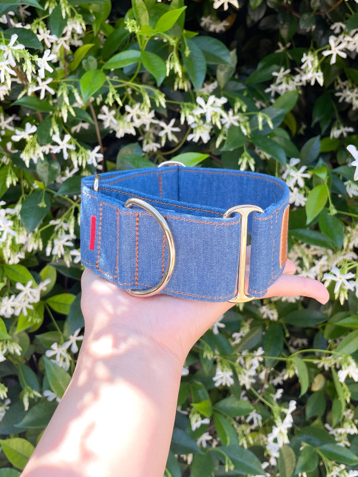 Wide Martingale Collar | Mid Blue (Classic Denim)