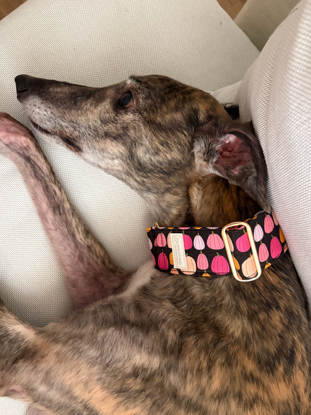 Wide Martingale Collar | Midnight Pumpkin Patch (Soft Cotton)