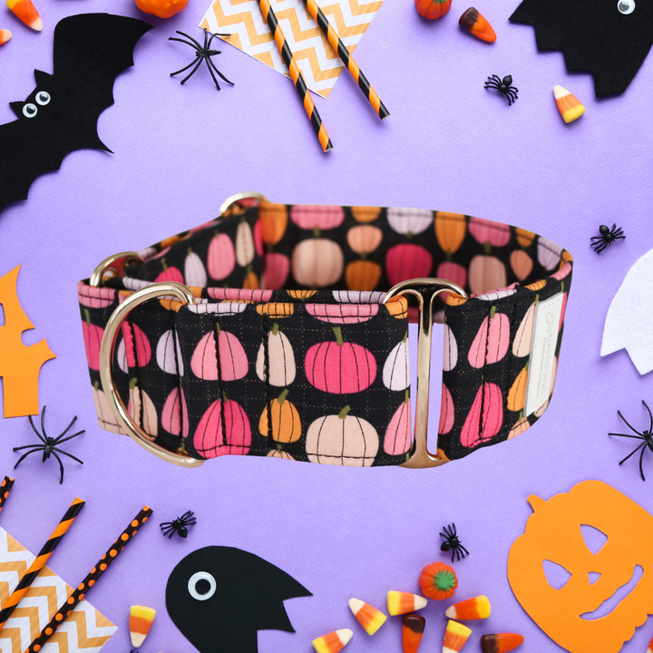 Wide Martingale Collar | Midnight Pumpkin Patch (Soft Cotton)