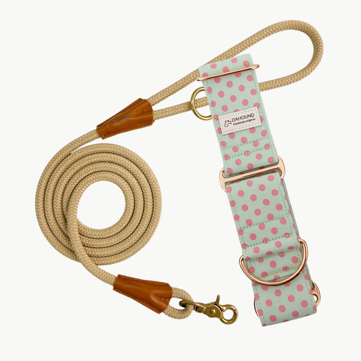 Martingale Collar & Rope Lead Set | Mint Candy Polka Dot (Soft Cotton)