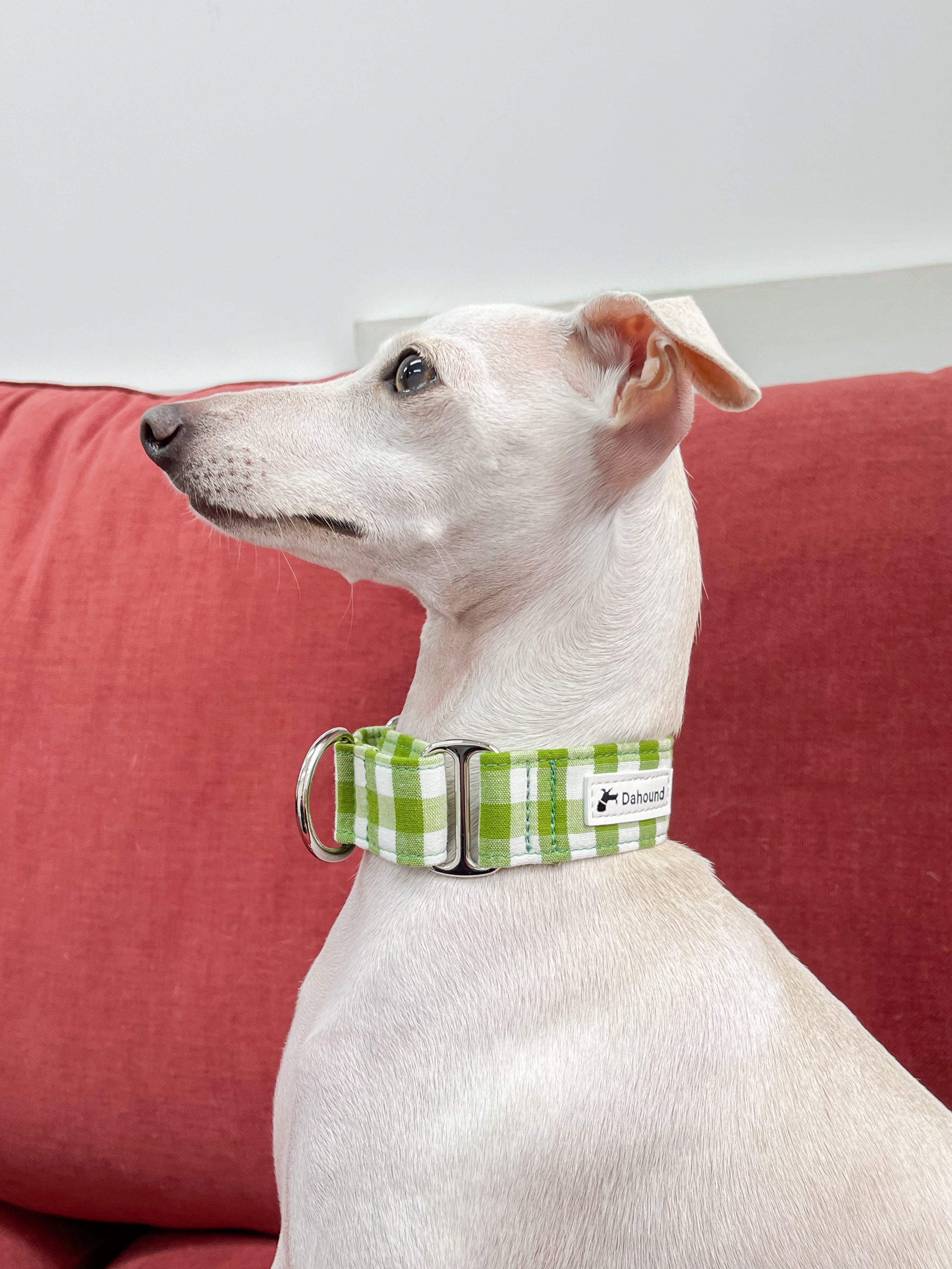 Wide Fabric Martingale Dog Collar Olive Green Gingham Plaid Dahound