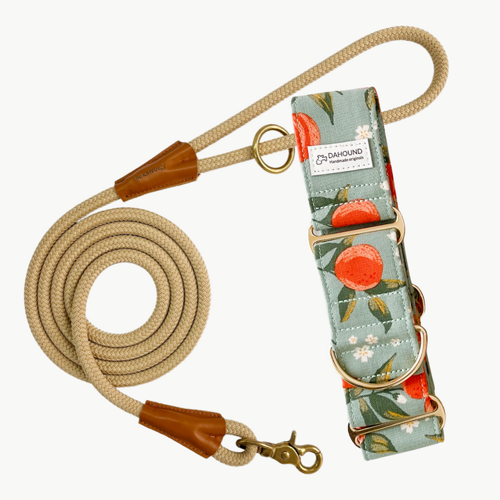 Martingale Collar & Rope Lead Set | Peach (Sturdy Oxford Cotton)