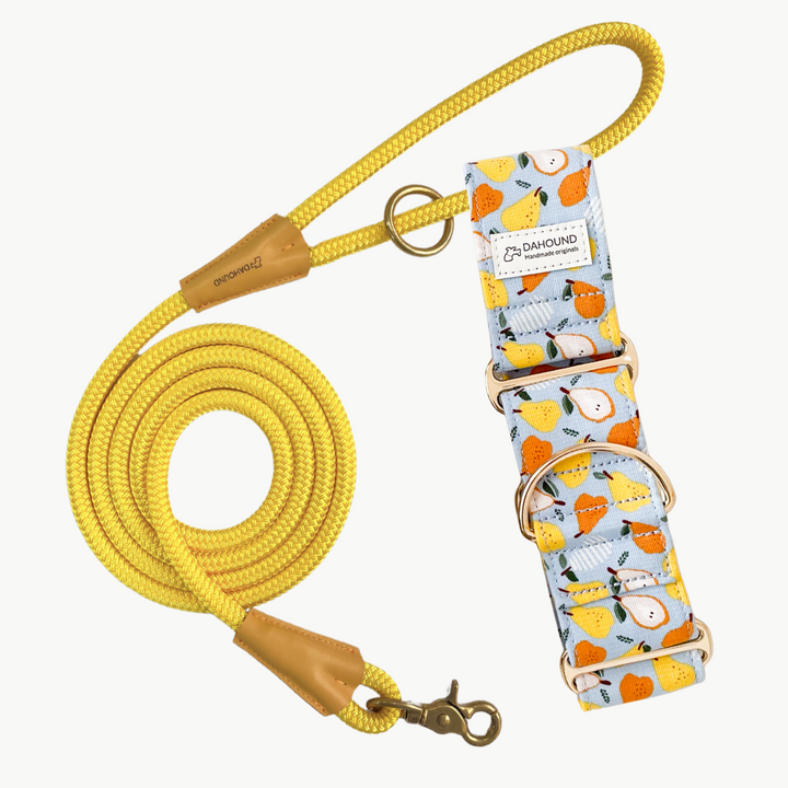 Martingale Collar & Rope Lead Set | Pear (Sturdy Oxford Cotton)