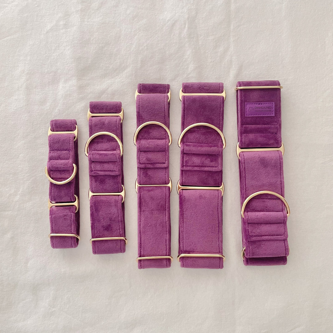 Wide Martingale Collar | Purple (Plush Velvet)