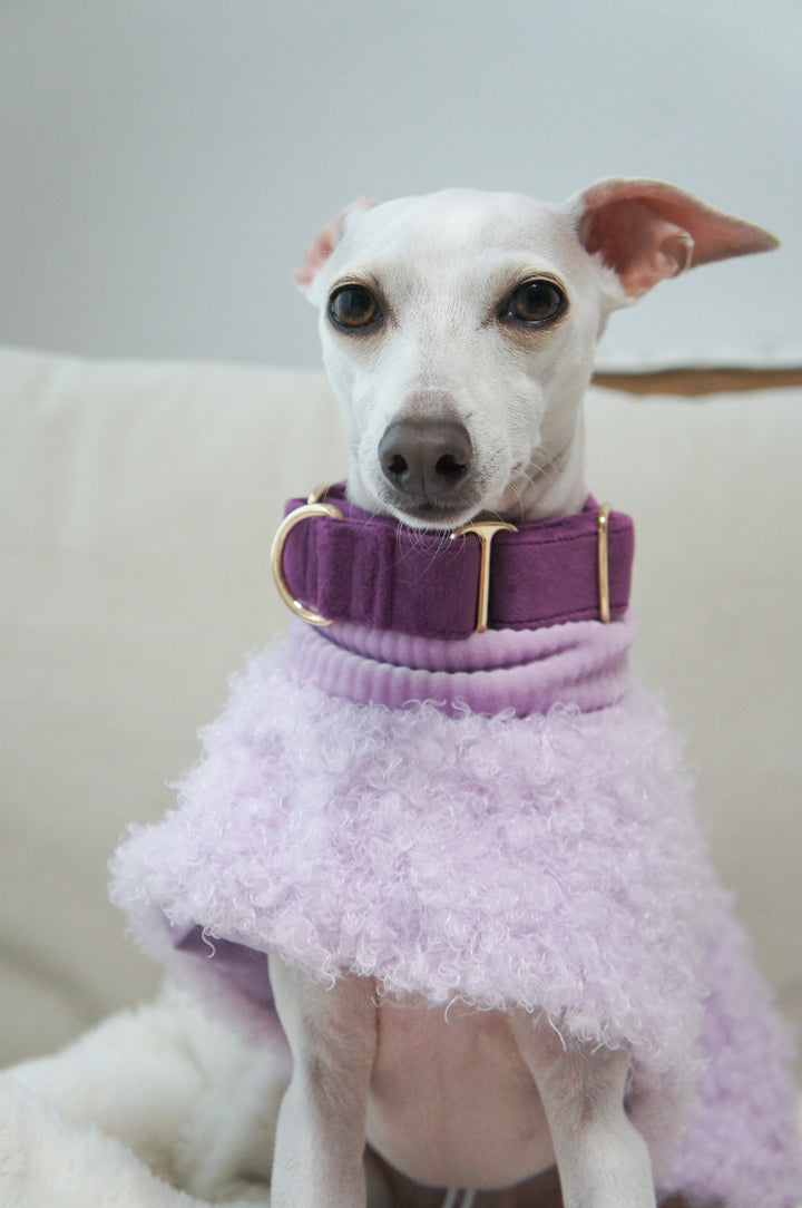 Wide Martingale Collar | Purple (Plush Velvet)