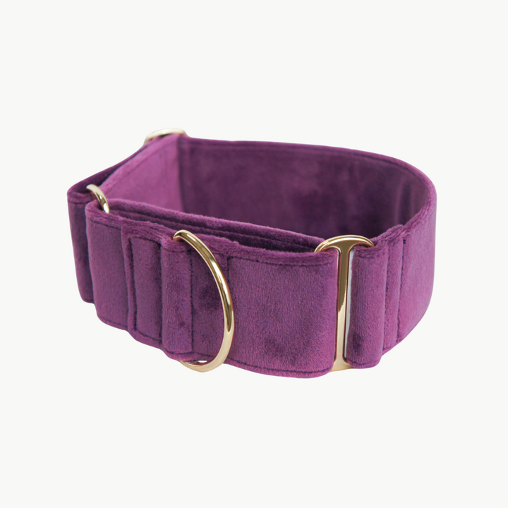 Wide Martingale Collar | Purple (Plush Velvet)