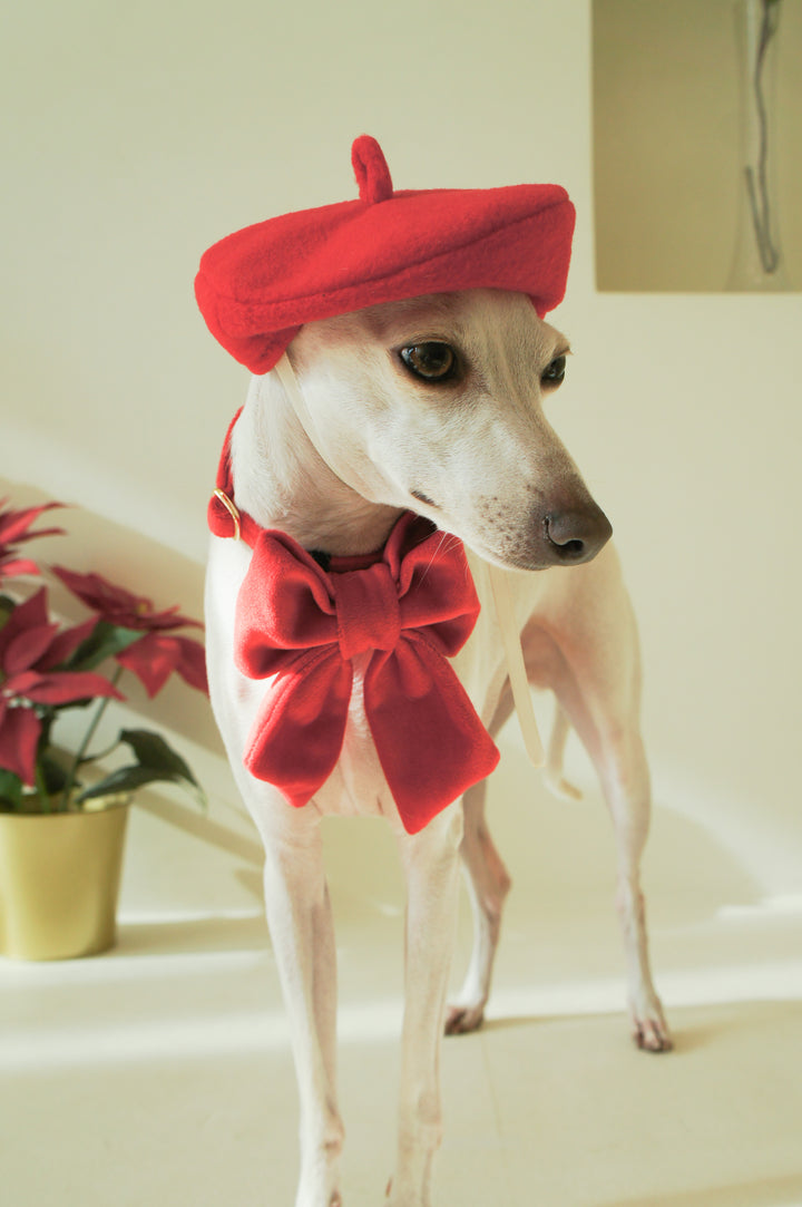 Martingale Collar + Sailor Bow + Rope Lead Set | Scarlet Red (Plush Velvet)
