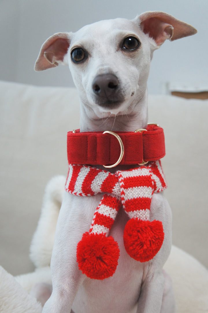 Martingale Collar + Sailor Bow + Rope Lead Set | Scarlet Red (Plush Velvet)