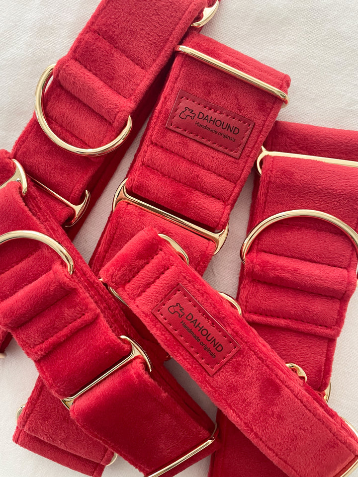 Martingale Collar + Sailor Bow + Rope Lead Set | Scarlet Red (Plush Velvet)