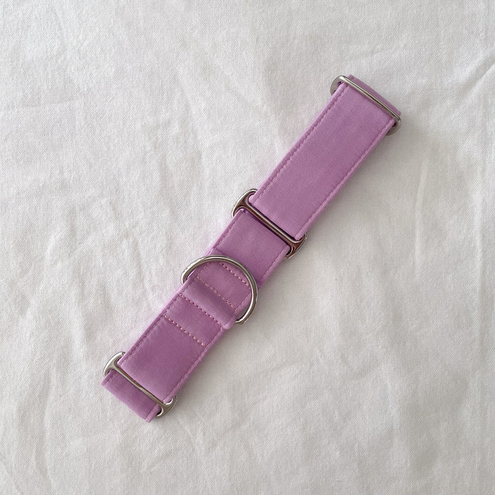 Martingale Collar - French Lilac | Size M (36mm wide) | SECONDS