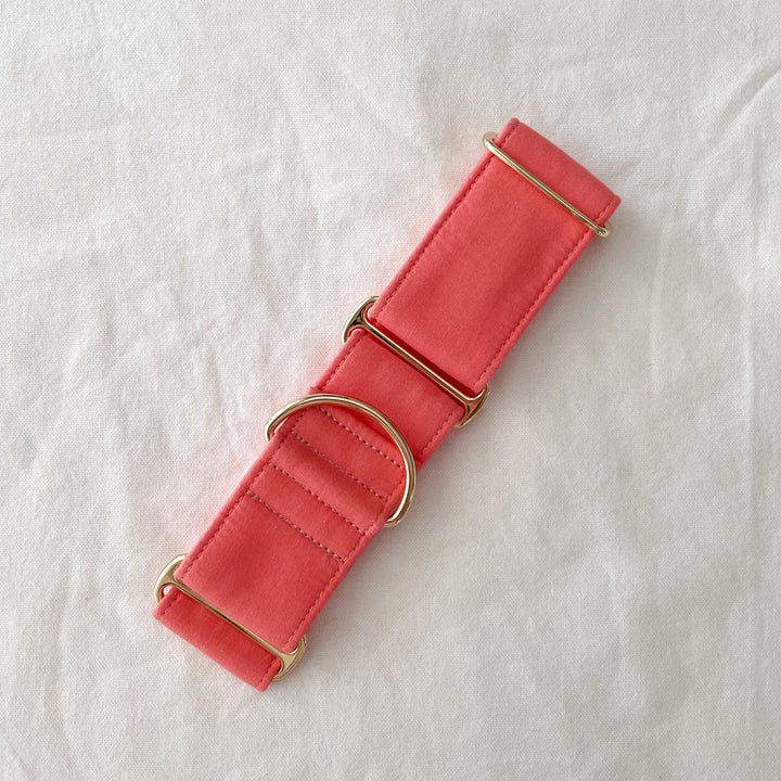 Martingale Collar - Peachy Pink | Size M (48mm wide) | SAMPLE