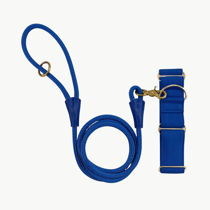 Dazzling Blue Martingale Collar & Leash Bundle For Greyhounds, Whippets and Italian Greyhounds