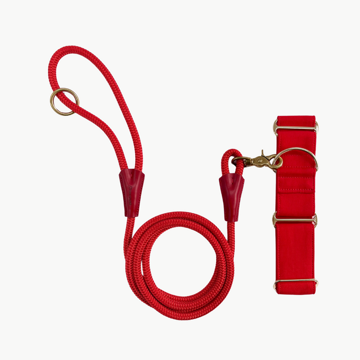 Red Martingale Collar & Leash Bundle For Greyhounds, Whippets and Italian Greyhounds