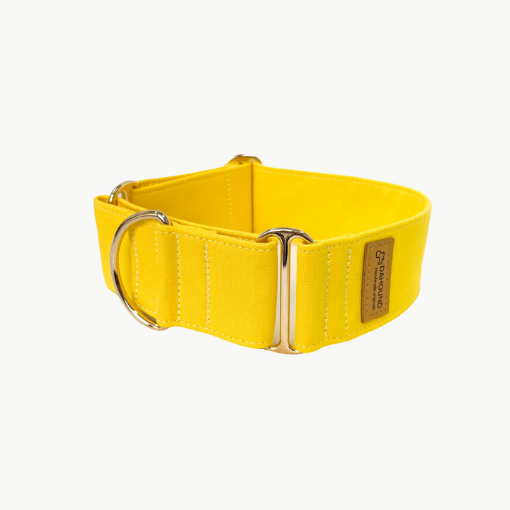 Candy Yellow Martingale Collar