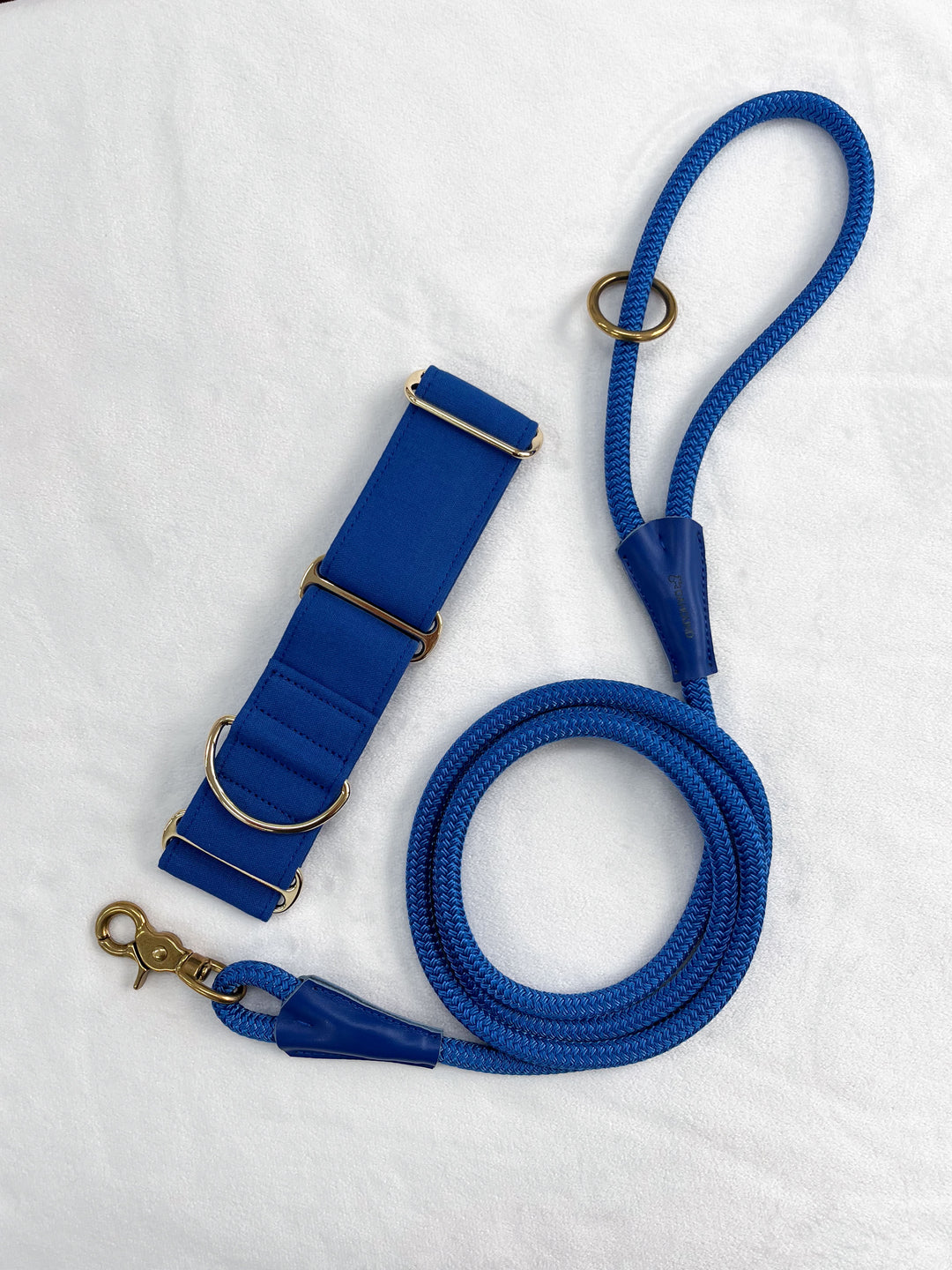 Dazzling Blue Martingale Collar With Matching Leash