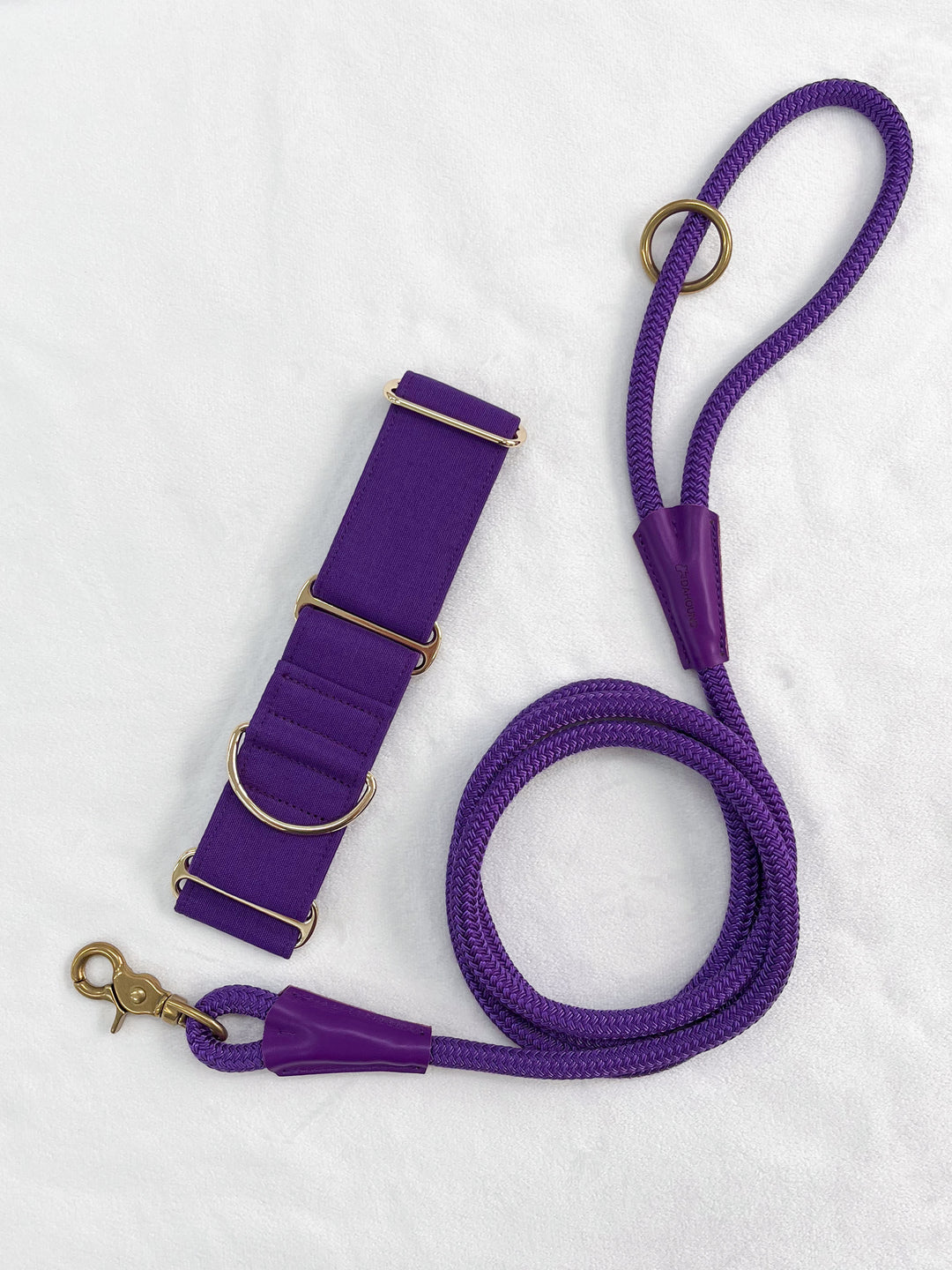 Purple Martingale Collar With Matching Leash