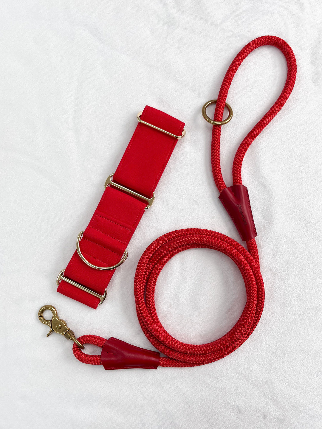 Red Martingale Collar With Matching Leash