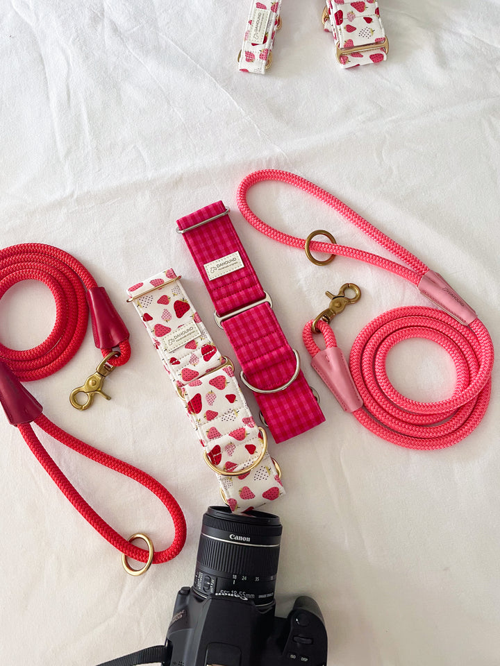 Wide Martingale Collar | Strawberry & Cream Gelato (Soft Cotton)