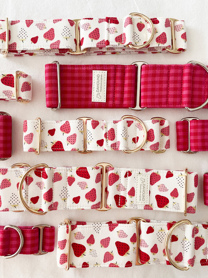 Dahound Crimson Pink Mini Gingham & Strawberry and Cream Martingale Collars Lifestyle Photo