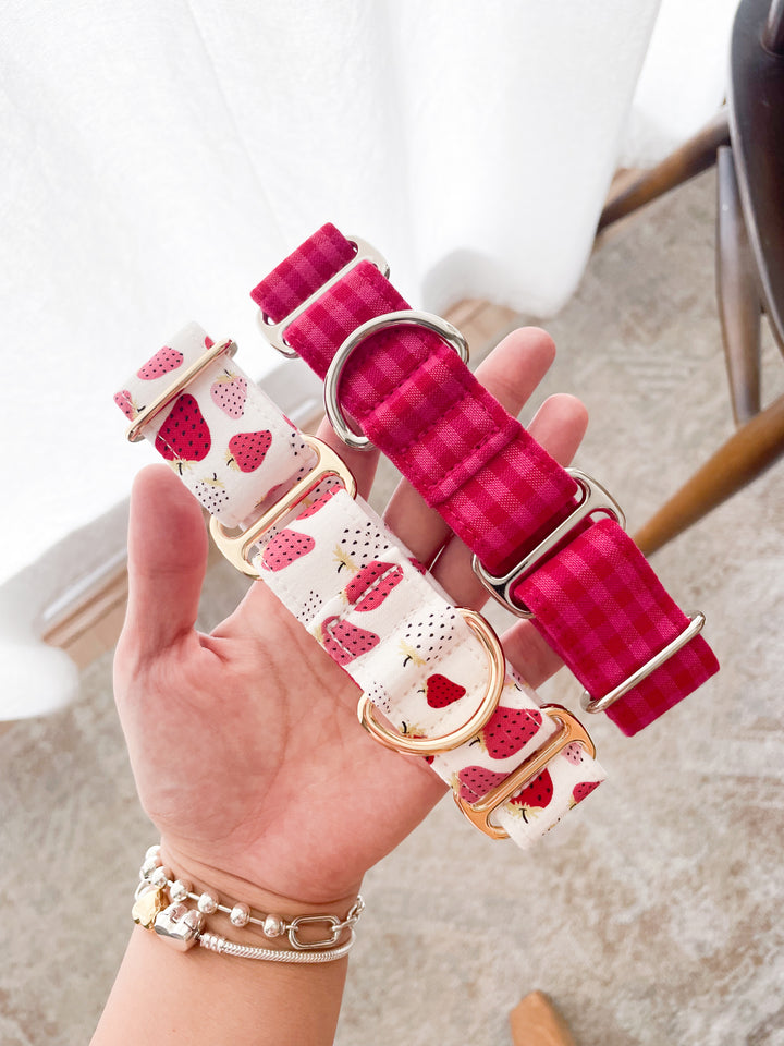 Dahound Crimson Pink Mini Gingham & Strawberry and Cream Italian Greyhound Collars Size XS Lifestyle Photo 