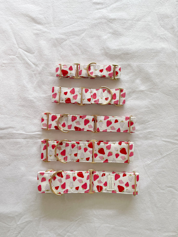 Dahound Crimson Strawberry and Cream Martingale Collars Product Photo With Different Sizing Option