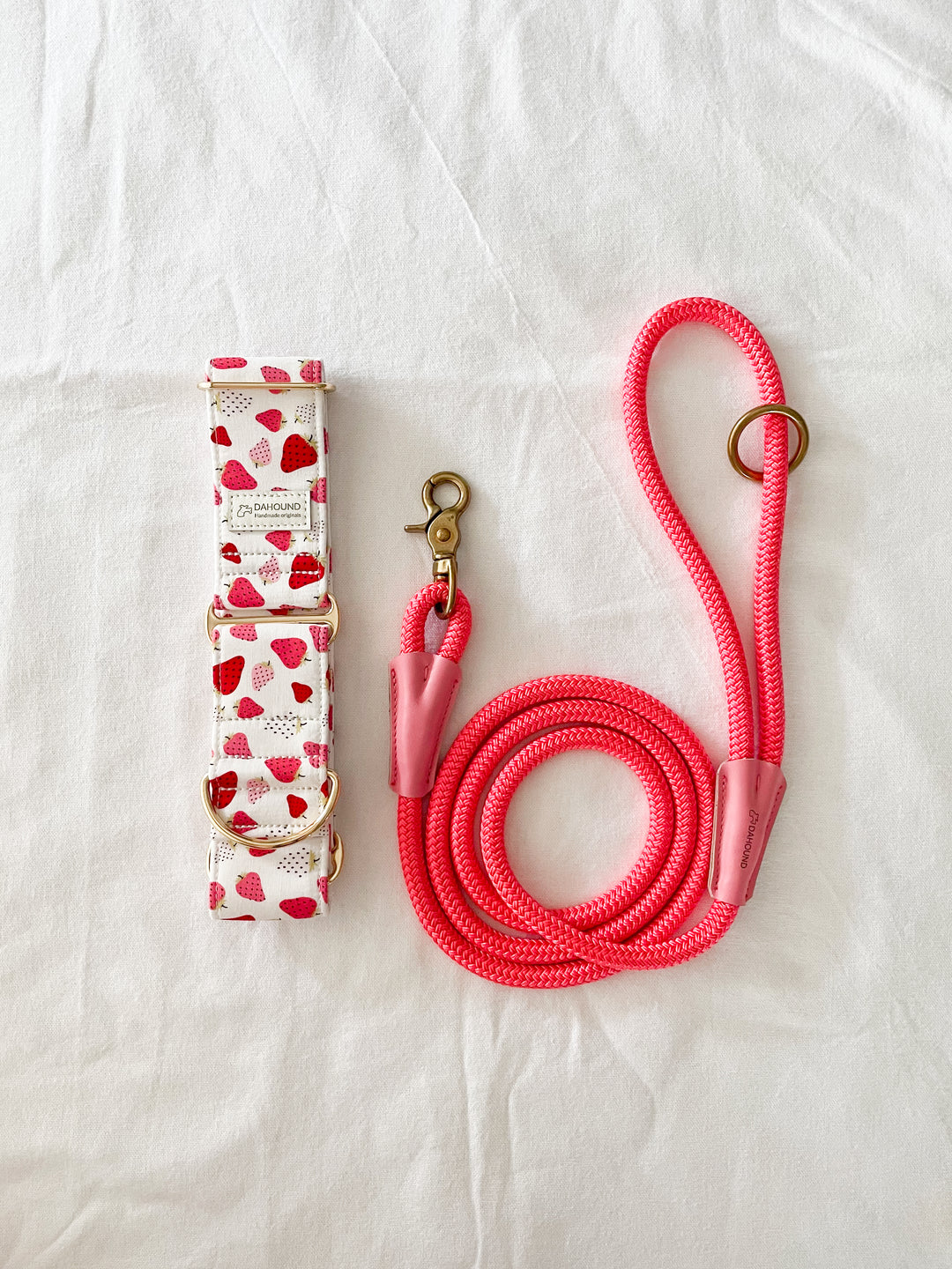 Dahound Strawberry and Cream Gelato Greyhound Collars Product Photo With Rosa Pink Rope Leash