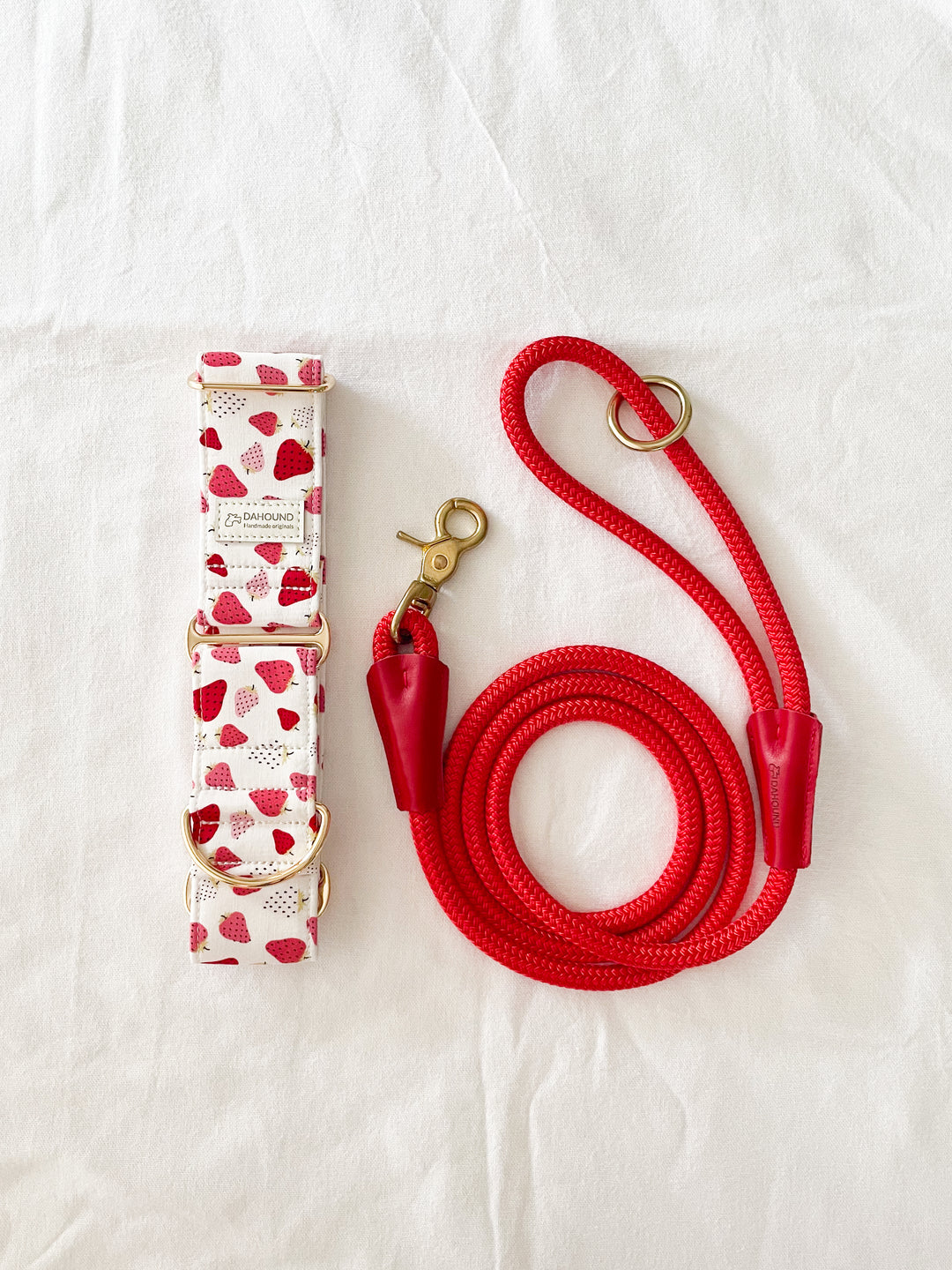 Dahound Strawberry and Cream Gelato Greyhound Collars Product Photo With Red Rope Leash