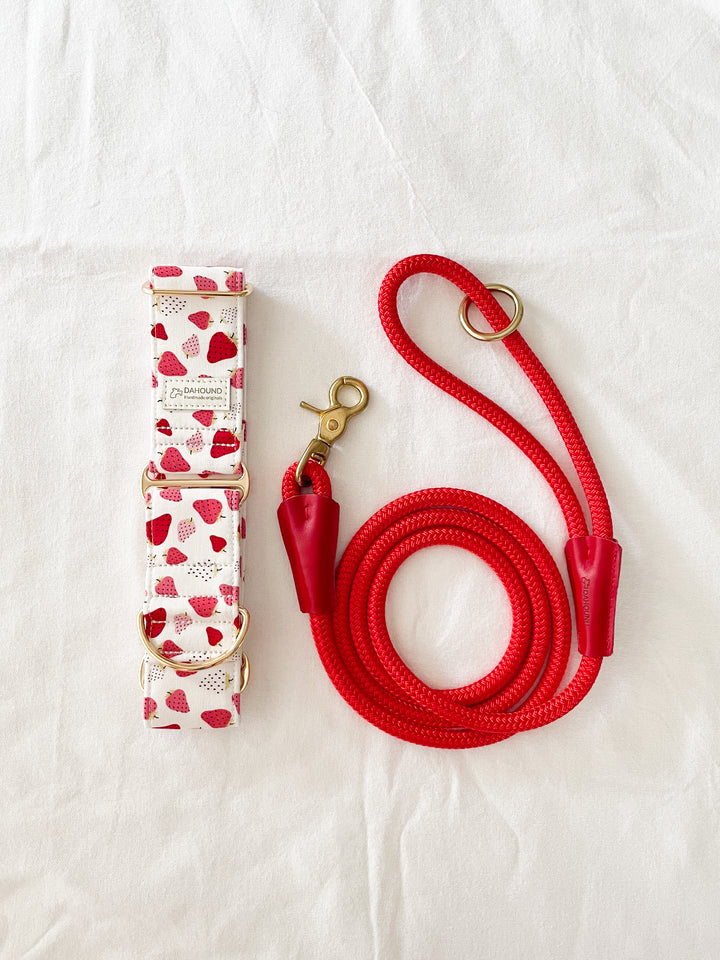 Dahound Strawberry and Cream Gelato Greyhound Collars Product Photo With Red Rope Leash