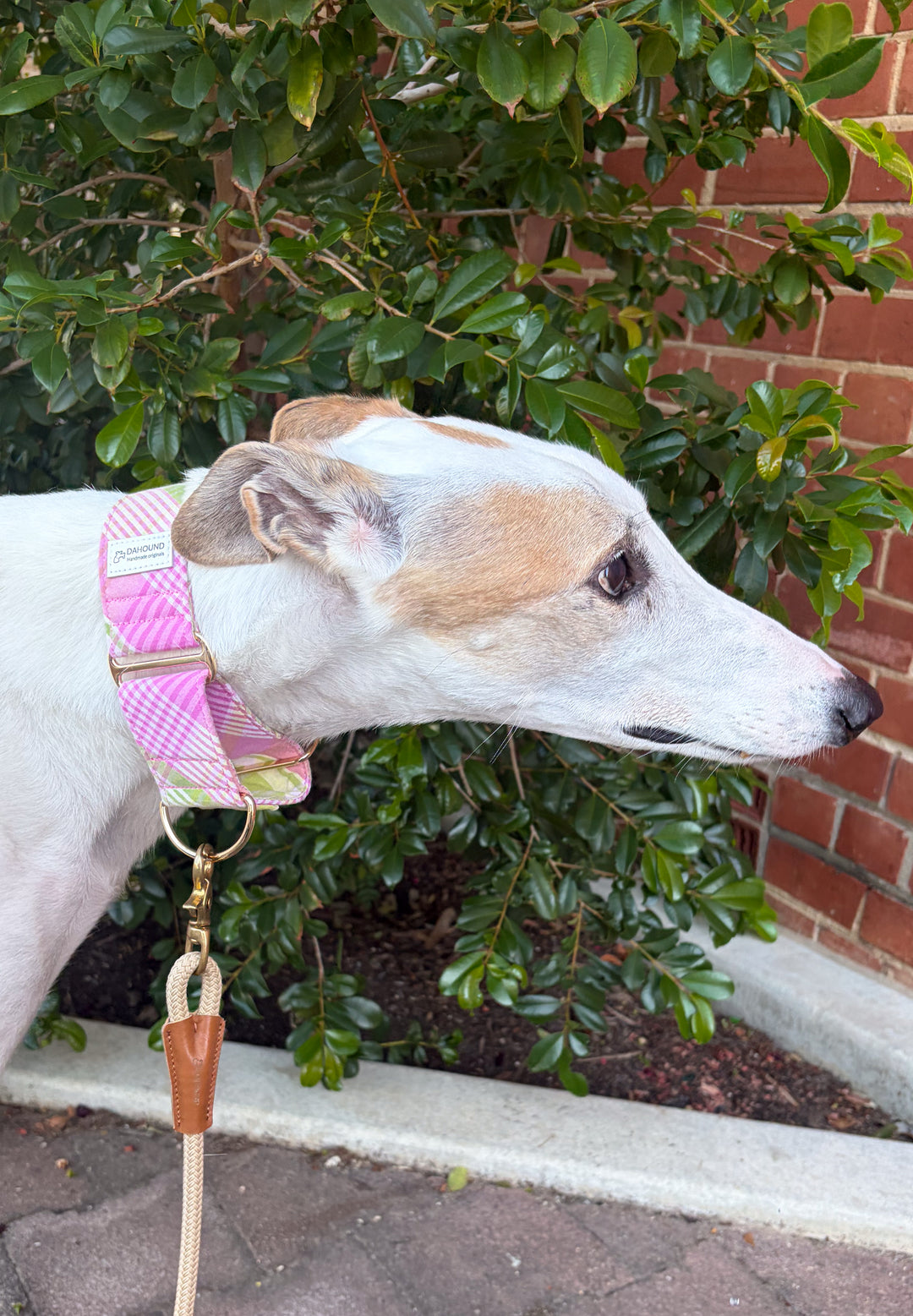 Wide Martingale Collar | Strawberry Matcha Plaid (Soft Cotton)