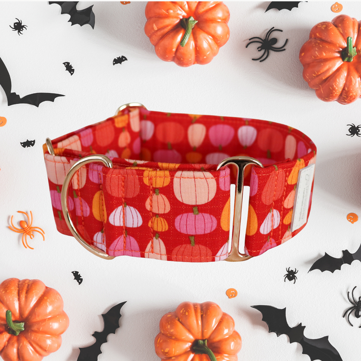 Wide Martingale Collar | Sunset Pumpkin Patch (Soft Cotton)