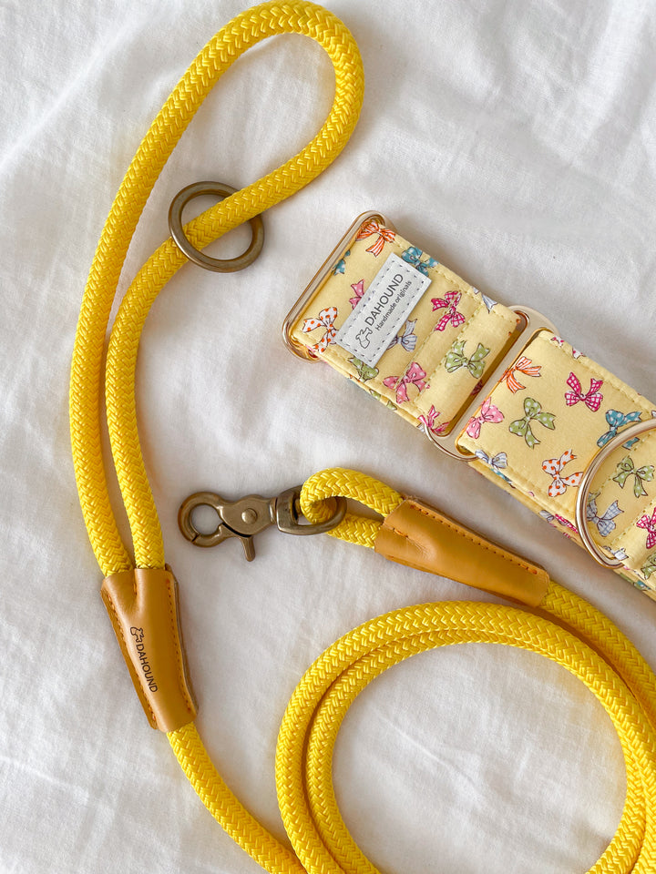 Dahound Yellow Mini Bows Martingale Collars With Rope Leash Lifestyle Photo