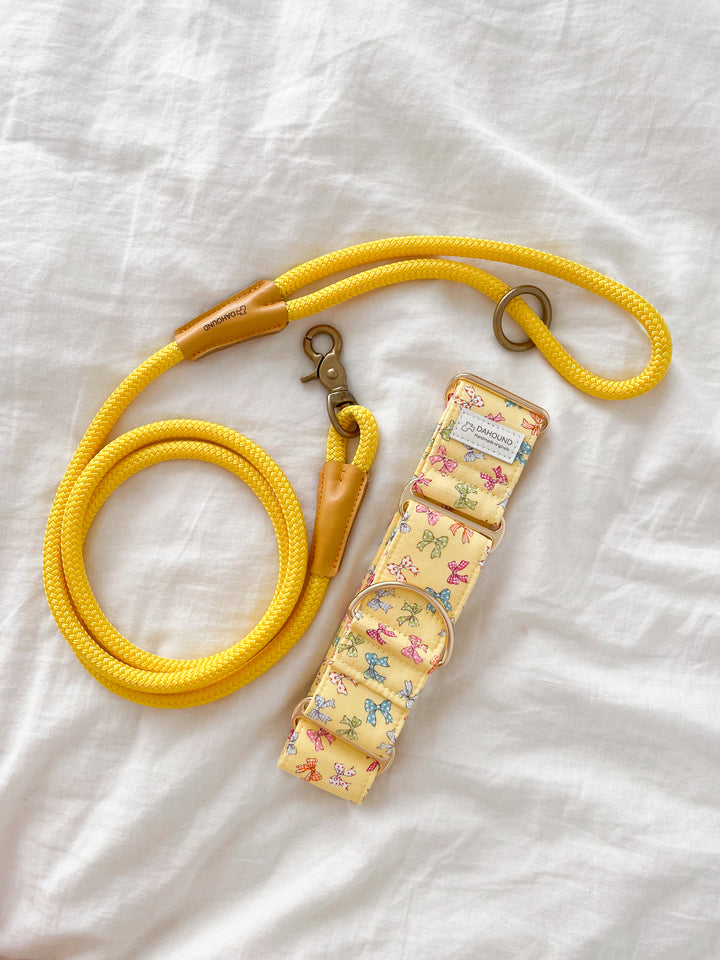 Dahound Yellow Mini Bows Martingale Collars With Rope Leash Lifestyle Photo