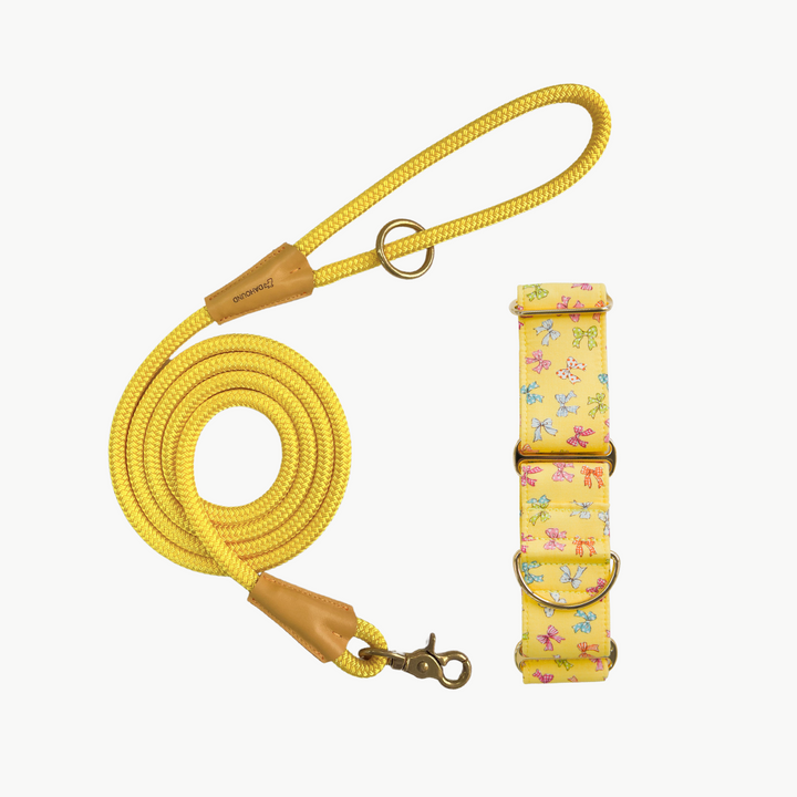 Martingale Collar & Rope Lead Set | Yellow Mini Bows