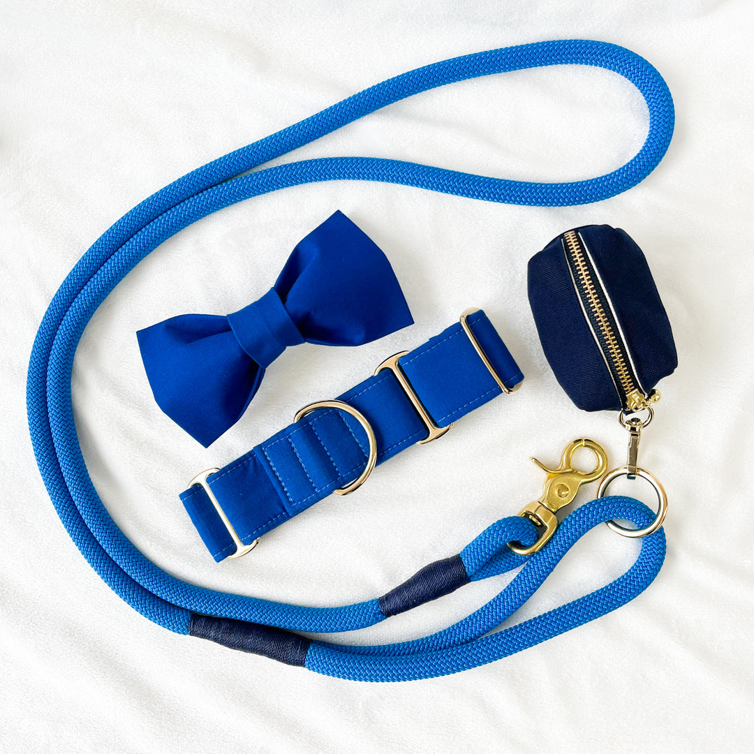 What is a Martingale Collar and How does it work? Dahound