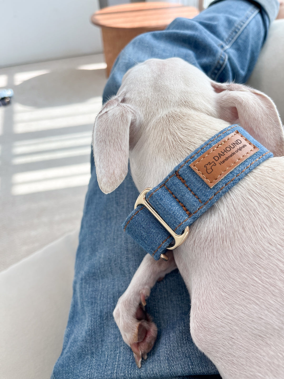 Martingale Collar & Rope Lead Set | Mid Blue Denim (with Black Leash)