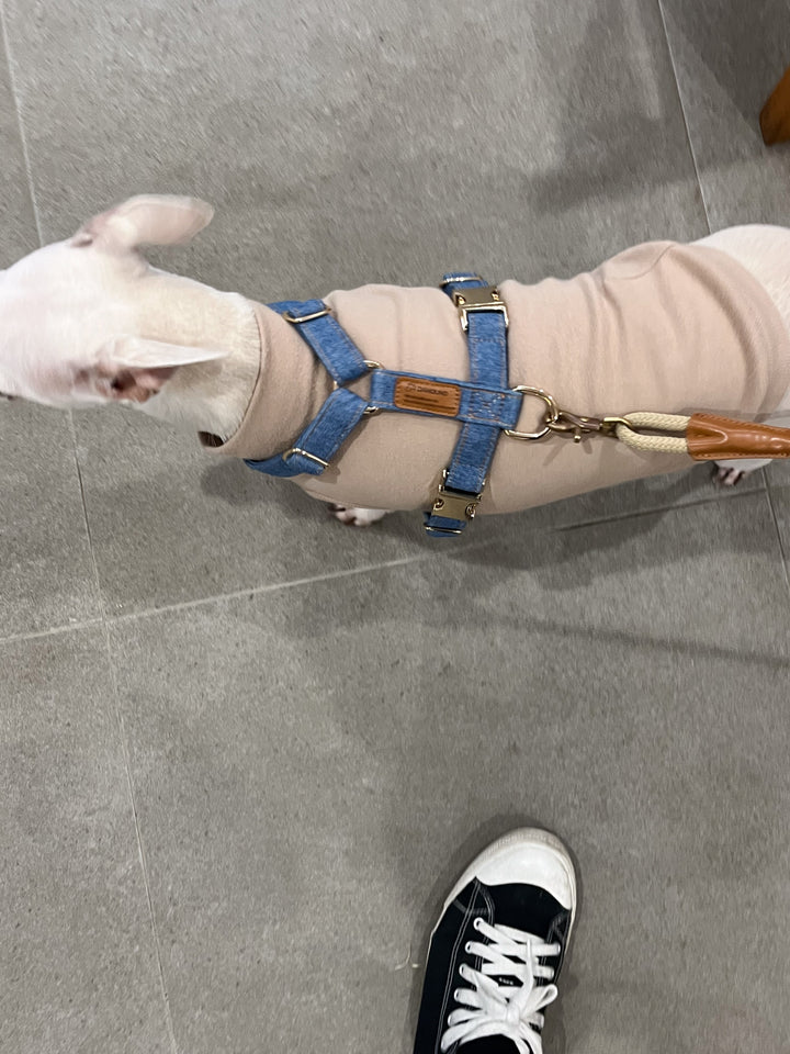 Signature Harness & Rope Lead Set | Mid Blue Denim [COMING SOON]