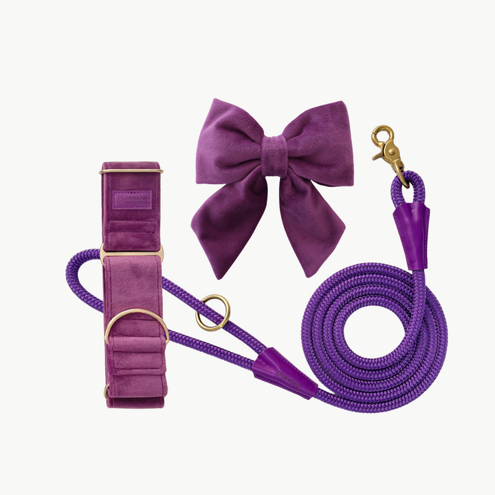 Martingale Collar + Sailor Bow + Rope Lead Set | Purple (Plush Velvet)