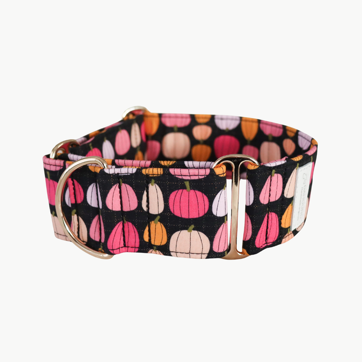 Wide Martingale Collar | Midnight Pumpkin Patch (Soft Cotton)