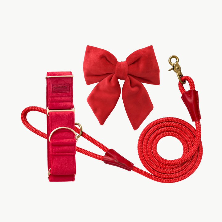 Martingale Collar + Sailor Bow + Rope Lead Set | Scarlet Red (Plush Velvet)