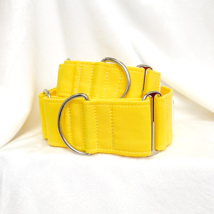 Wide Fabric Martingale Dog Collar | Pac-man Yellow