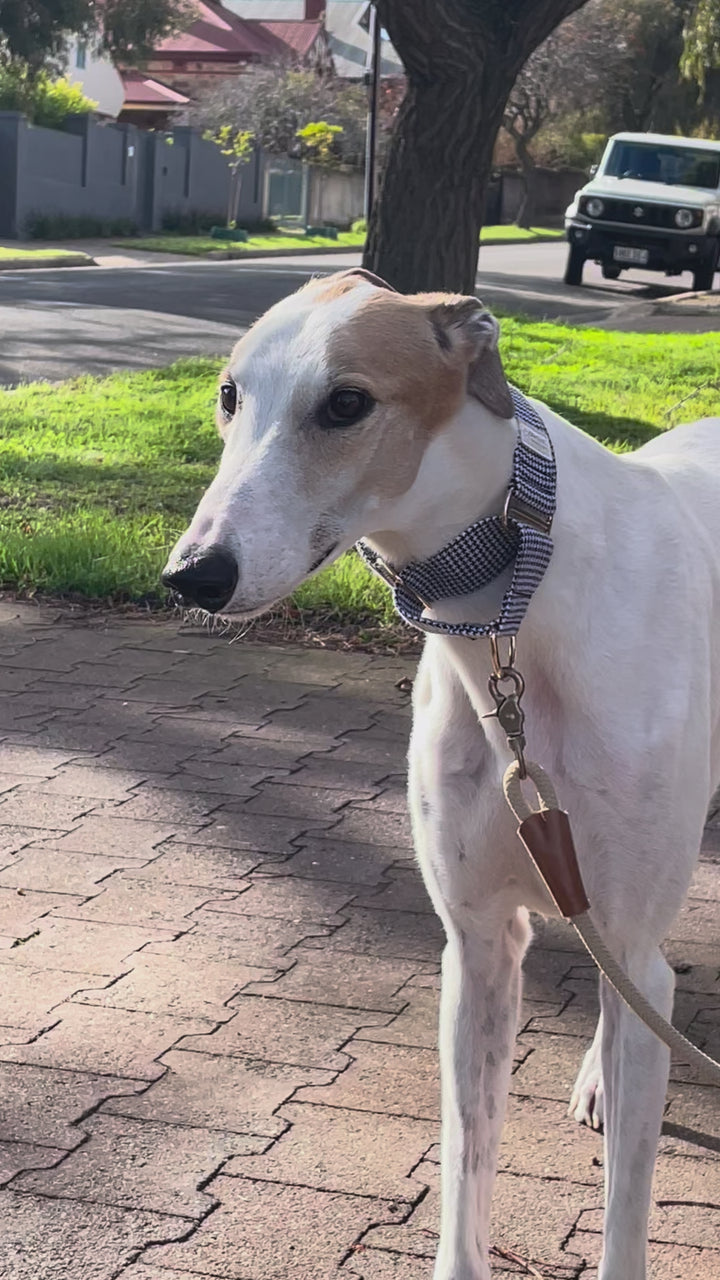 Wide Martingale Collar | Classic Houndstooth (Textured Weave)